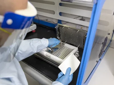 Doctor and patient consultation